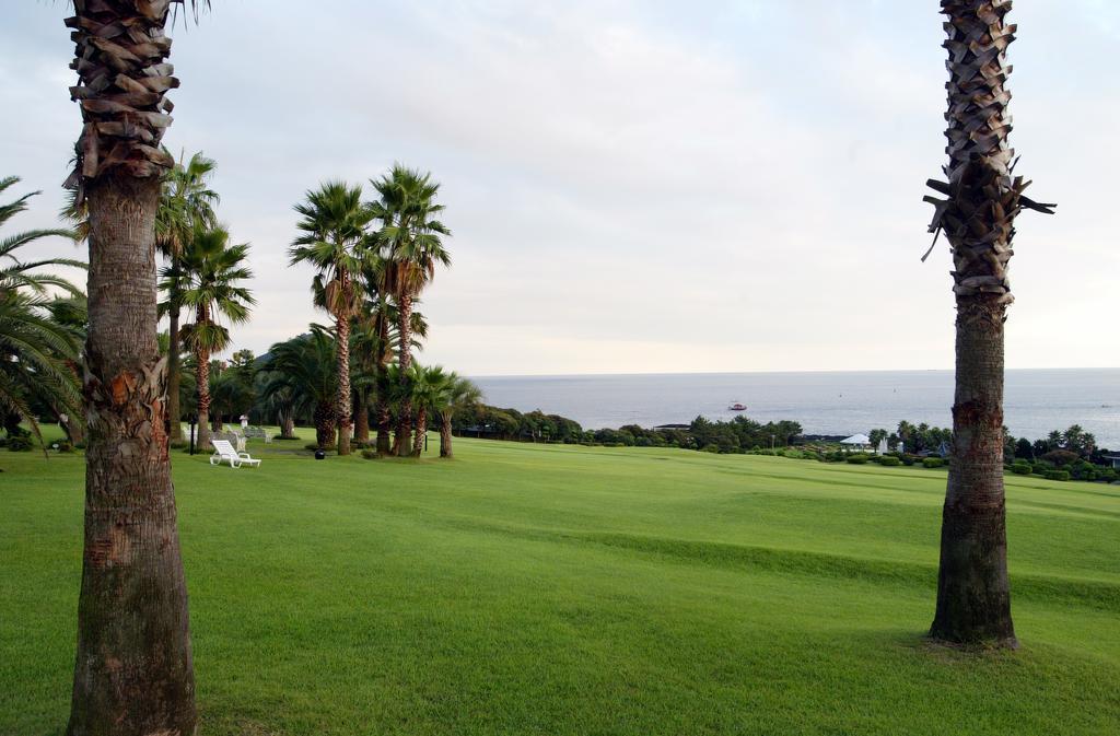 Seogwipo Kal Hotel Exterior foto Golf course in Okinawa