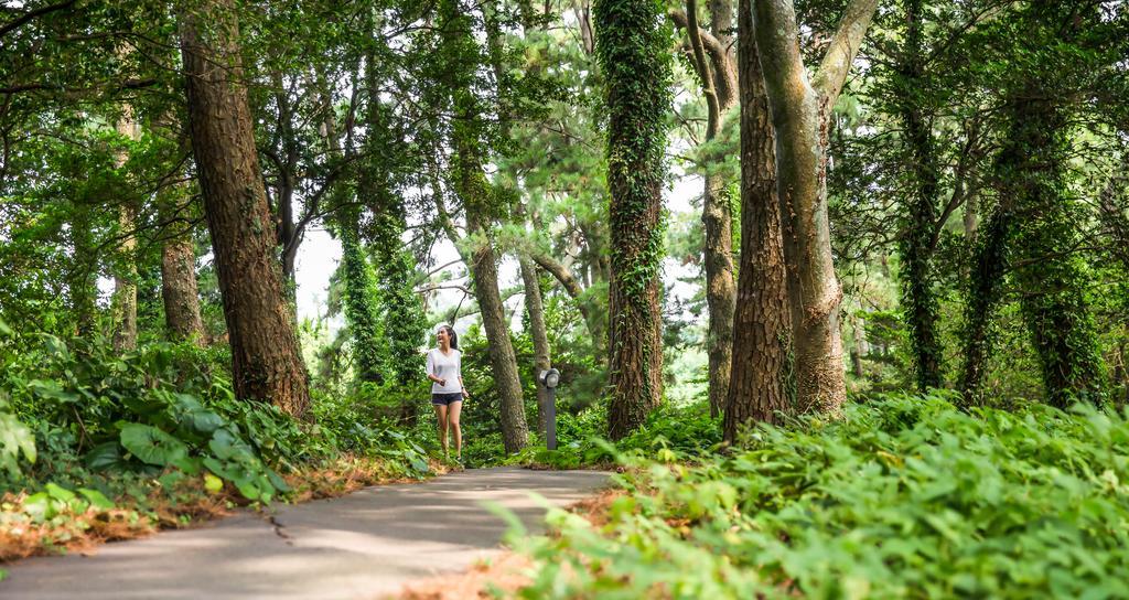 Seogwipo Kal Hotel Exterior foto A trail in the park